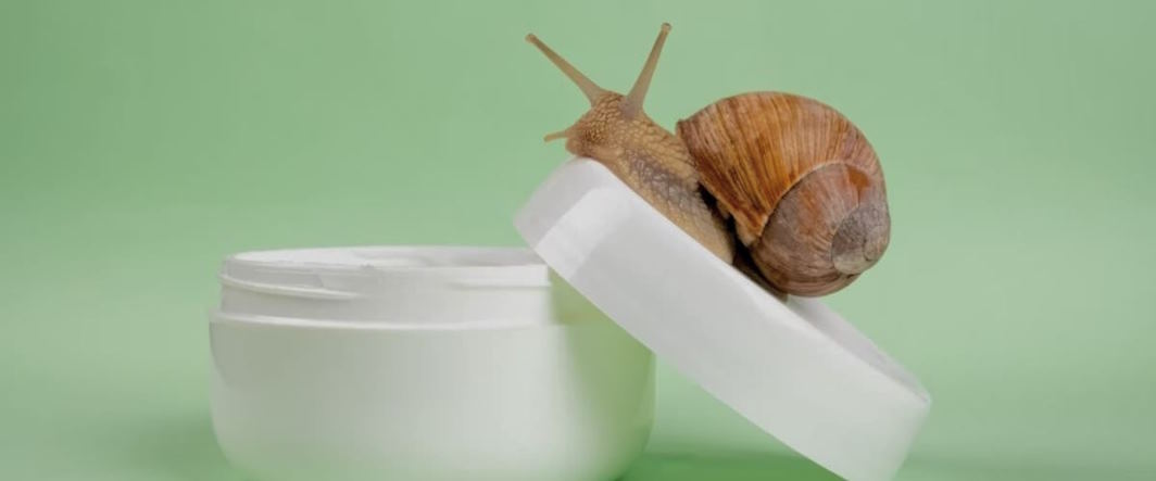 snail slime